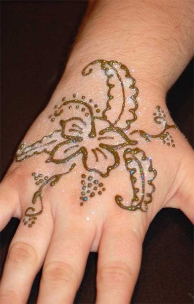 Terry J Henna Tattoo Artists