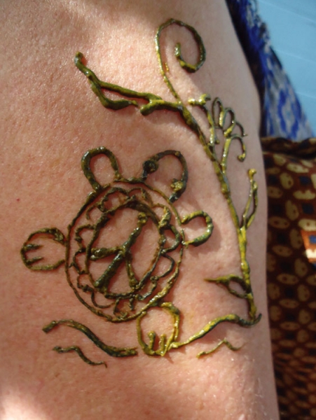 Mary B Henna Tattoo Artists