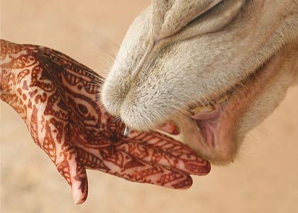 image of henna hand and camel mouth from wikipedia