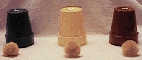 magic ball and cup trick